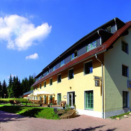 Waldhotel Am Aschergraben Geising Ngoại thất bức ảnh