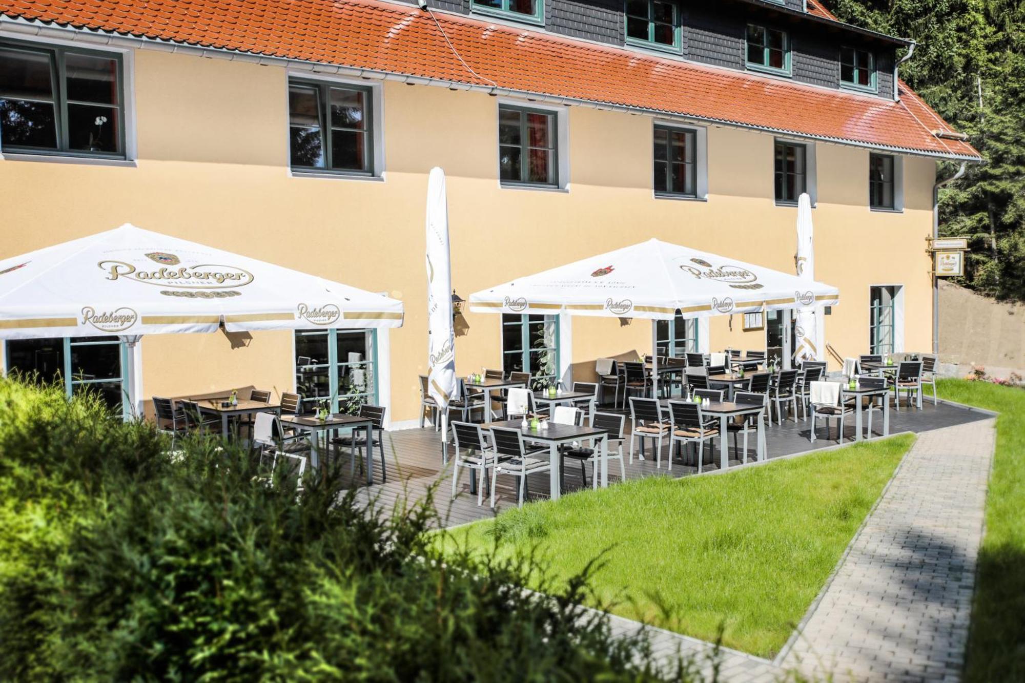 Waldhotel Am Aschergraben Geising Ngoại thất bức ảnh